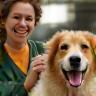 Certified Bristol pet groomers smiling with a dog, representing gentle team